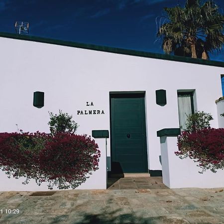 Casa La Palmera - Solo Familias Y Parejas 科尼尔-德拉弗龙特拉 外观 照片